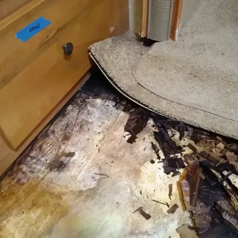 Best Wood Floor Water Damage Service in Calcasieu Parish, LA